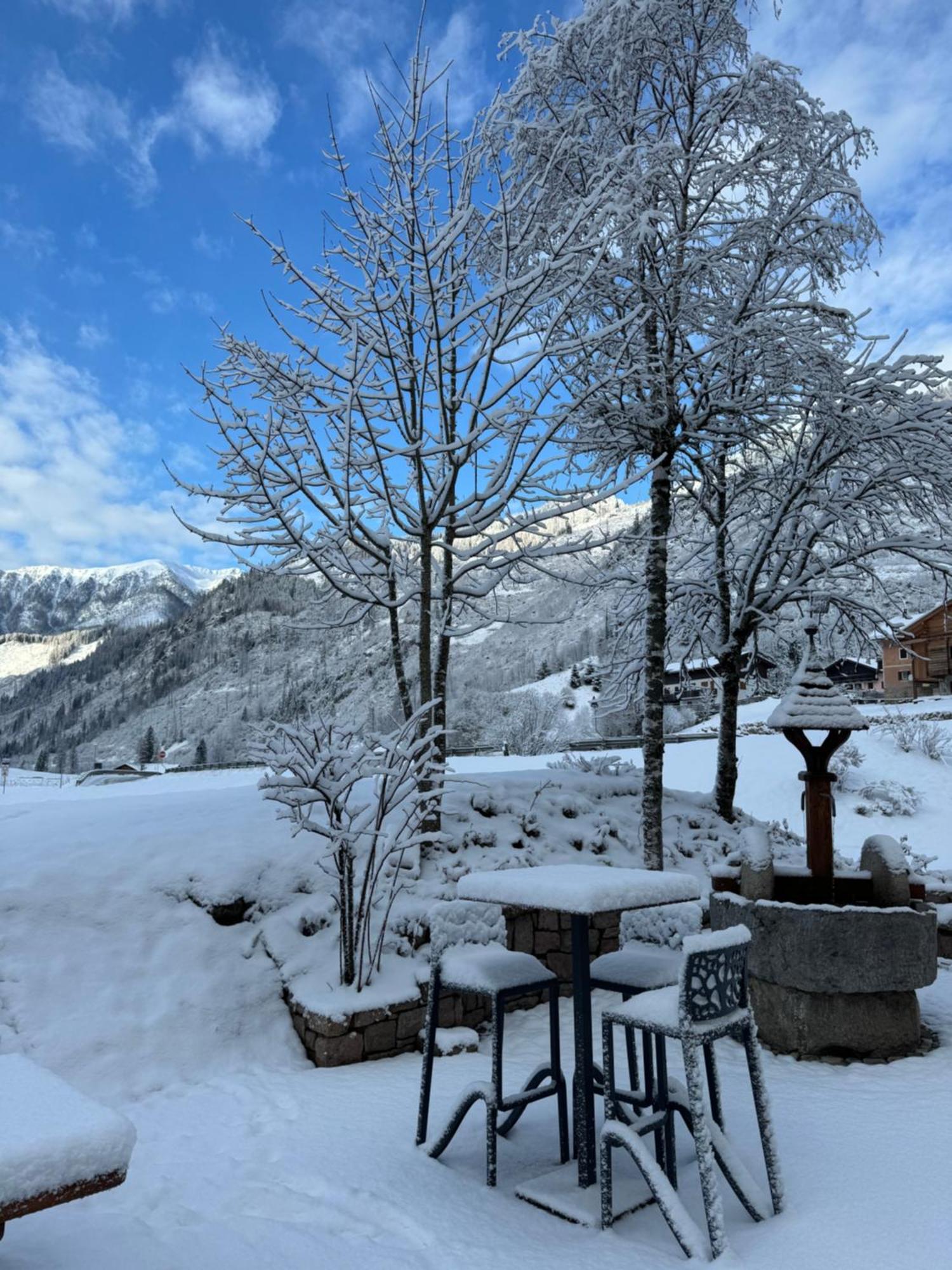 Flos Hotel Moena Dış mekan fotoğraf